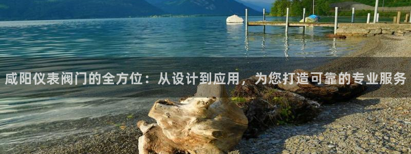 新宝gg首页平台