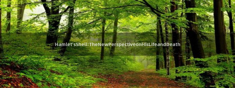 创造奇迹 新宝gg