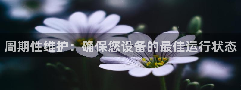新宝gg画