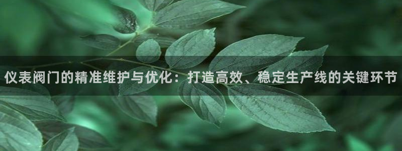 新宝gg官方