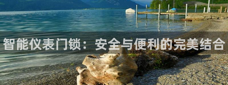 新宝gg网站