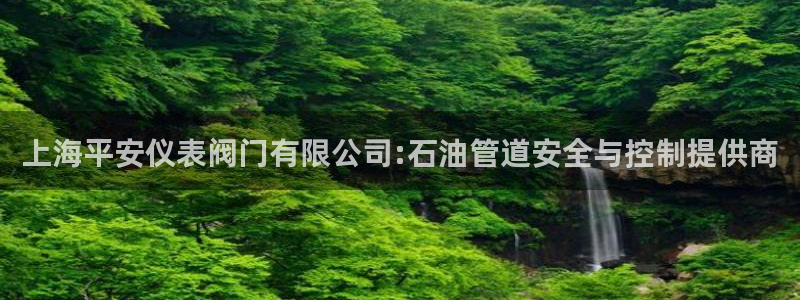 新宝gg平台开发