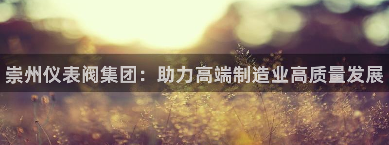 新宝gg招商