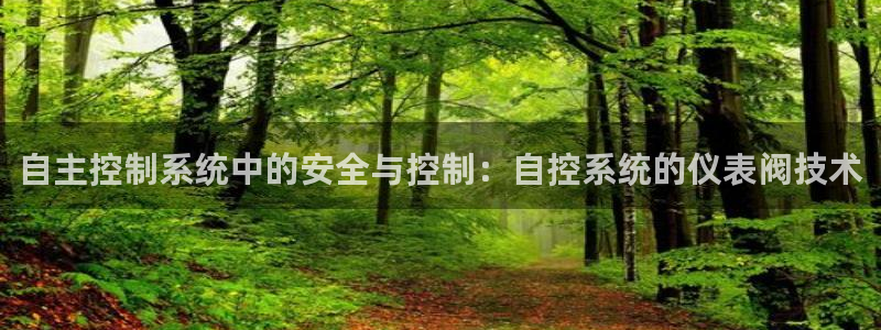 新宝gg主管花木兰