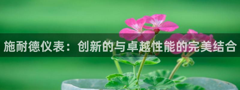 新宝gg挂机app