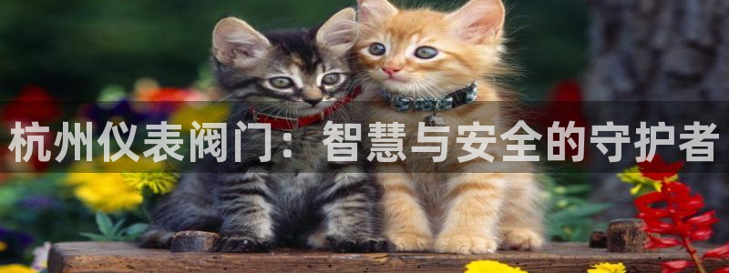 新宝gg平台登录