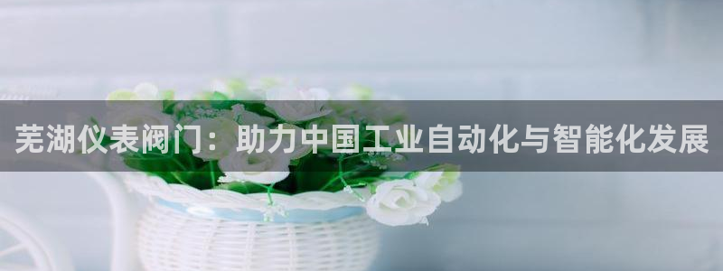 新宝gg图片