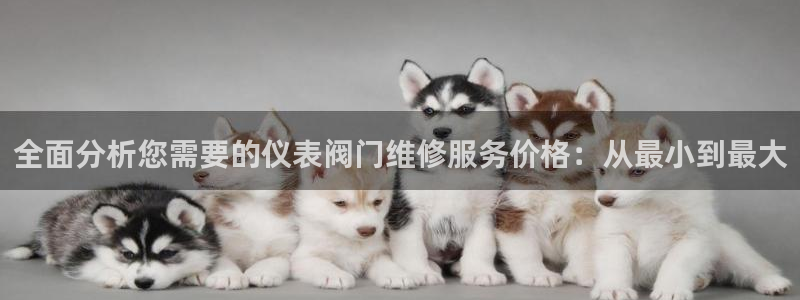 新宝gg创造奇迹登陆