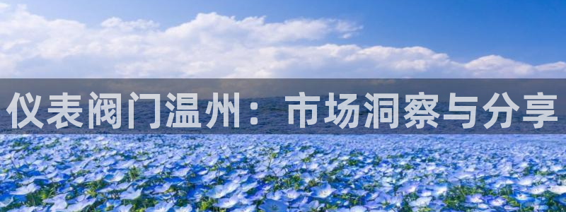 新宝gg app