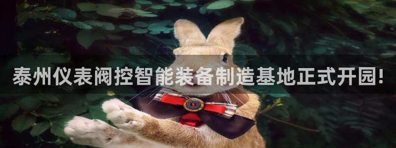 新宝gg彩票