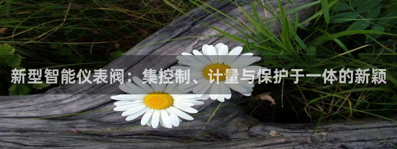 新宝gg 创造