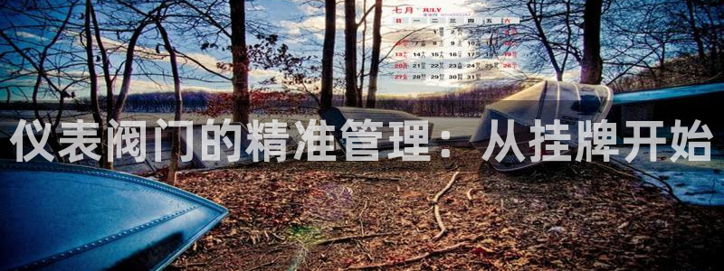 新宝gg登录新
